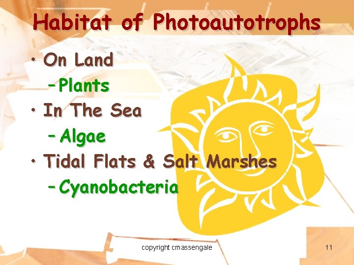 Habitat of Photoautotrophs • On Land – Plants • In The Sea – Algae