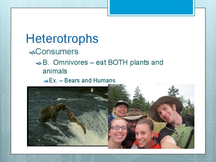 Heterotrophs Consumers B. Omnivores – eat BOTH plants and animals Ex. – Bears and