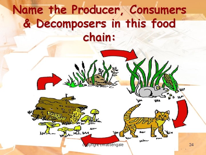 Name the Producer, Consumers & Decomposers in this food chain: copyright cmassengale 24 
