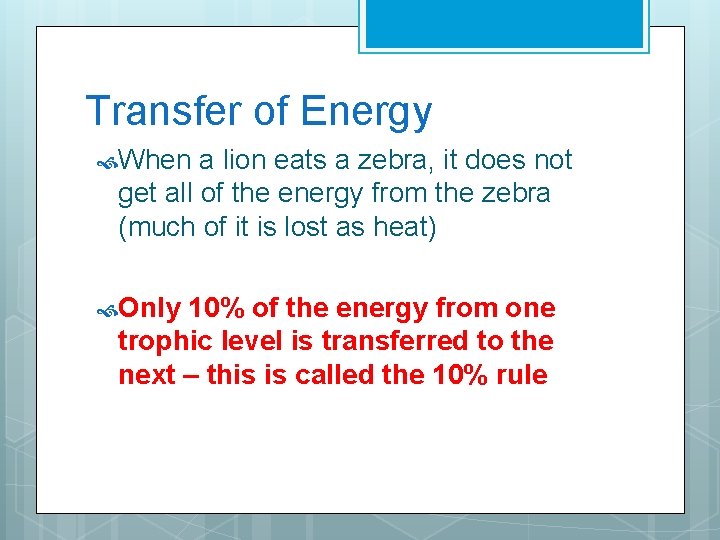 Transfer of Energy When a lion eats a zebra, it does not get all