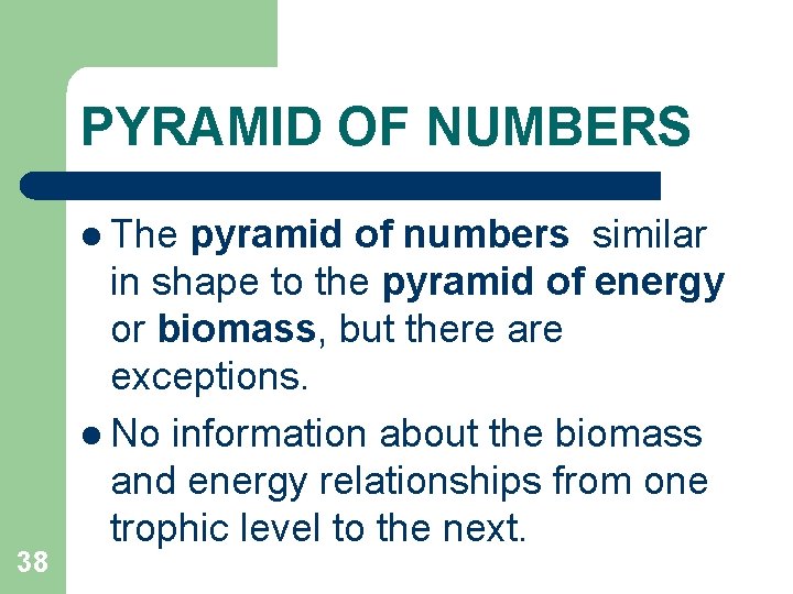 PYRAMID OF NUMBERS l The 38 pyramid of numbers similar in shape to the