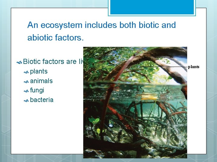 An ecosystem includes both biotic and abiotic factors. Biotic factors are living things. plants