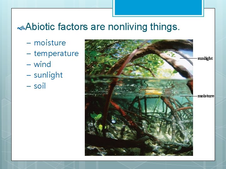  Abiotic – – – factors are nonliving things. moisture temperature wind sunlight soil