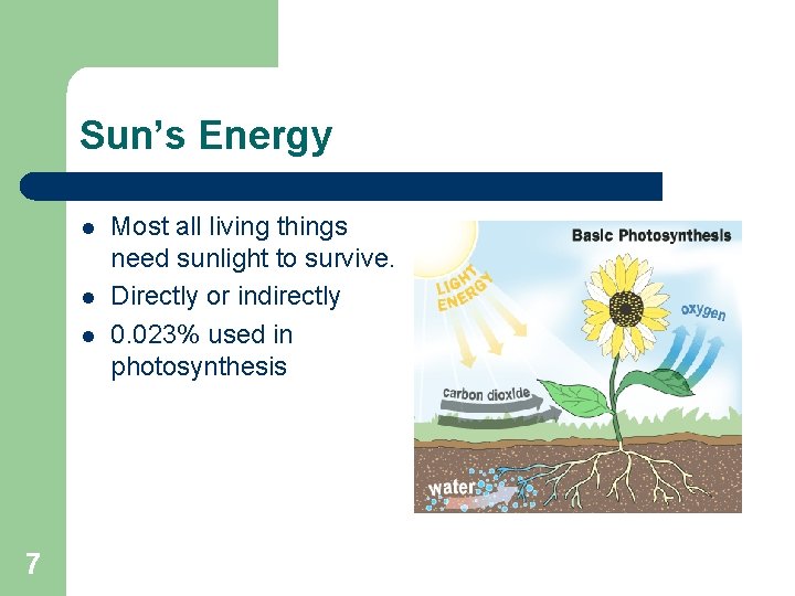 Sun’s Energy l l l 7 Most all living things need sunlight to survive.