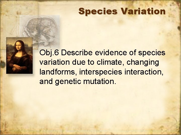 Species Variation Obj. 6 Describe evidence of species variation due to climate, changing landforms,