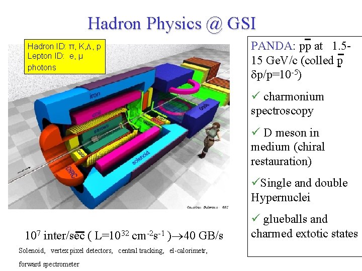 Hadron Physics @ GSI Hadron ID: π, K, , p Lepton ID: e, μ