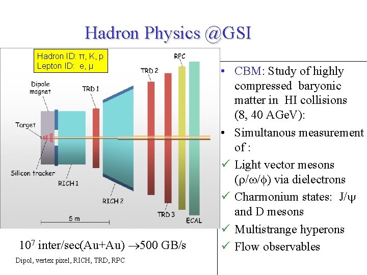 Hadron Physics @GSI Hadron ID: π, K, p Lepton ID: e, μ 107 inter/sec(Au+Au)