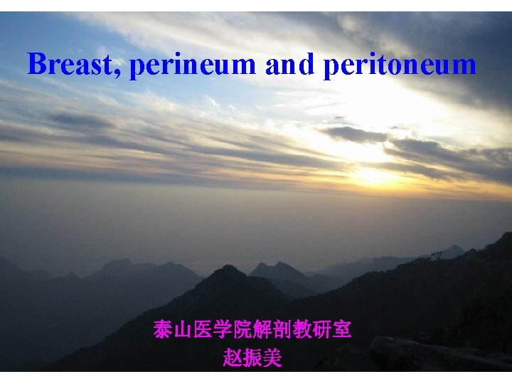 Breast, perineum and peritoneum 泰山医学院解剖教研室 赵振美 