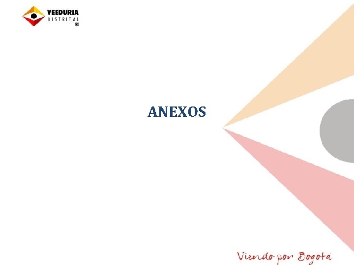 ANEXOS 