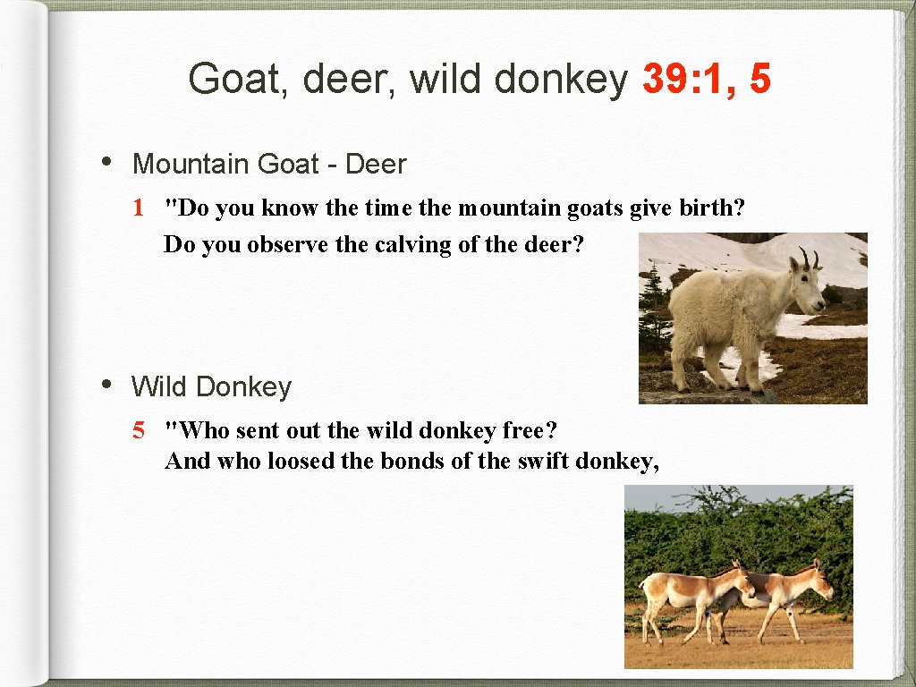 Goat, deer, wild donkey 39: 1, 5 • Mountain Goat - Deer 1 "Do