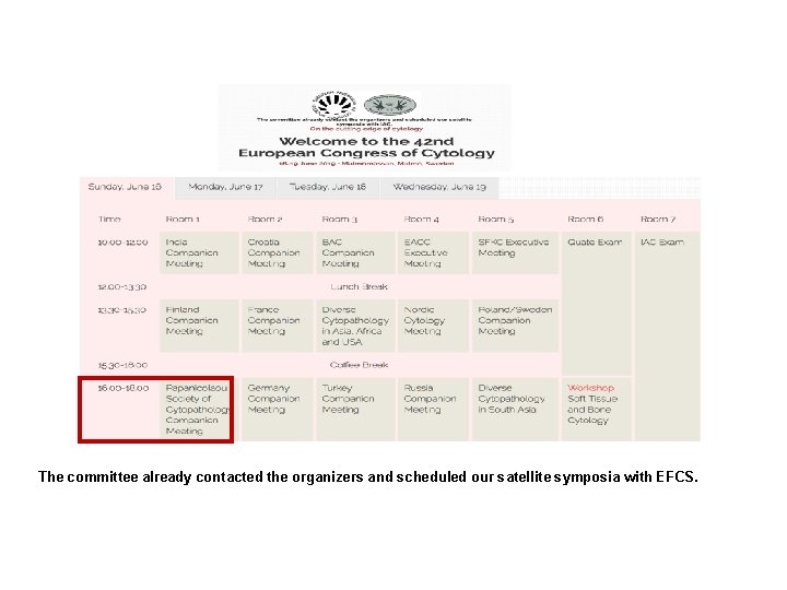 The committee already contacted the organizers and scheduled our satellite symposia with EFCS. 