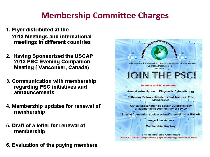 Membership Committee Charges 1. Flyer distributed at the 2018 Meetings and international meetings in