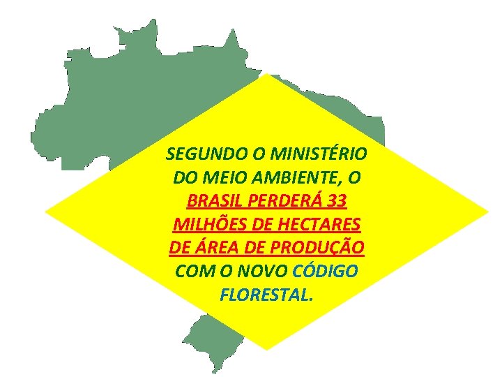 SEGUNDO O MINISTÉRIO DO MEIO AMBIENTE, O BRASIL PERDERÁ 33 MILHÕES DE HECTARES DE