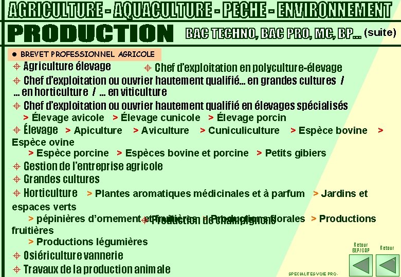 (suite) l BREVET PROFESSIONNEL AGRICOLE ± Agriculture élevage ± Chef d’exploitation en polyculture-élevage ±