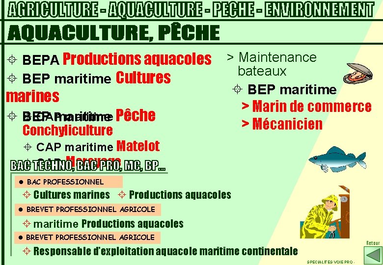 ± BEPA Productions aquacoles ± BEP maritime Cultures marines > Maintenance bateaux ± BEP
