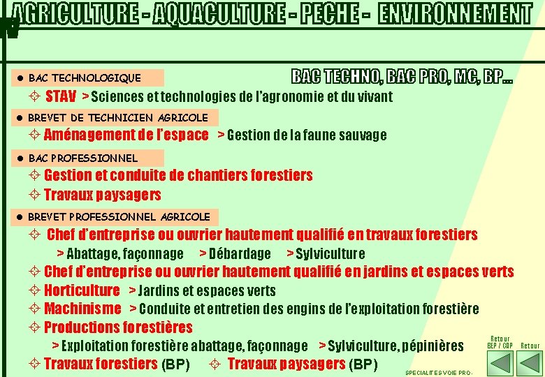 l BAC TECHNOLOGIQUE ± STAV > Sciences et technologies de l’agronomie et du vivant