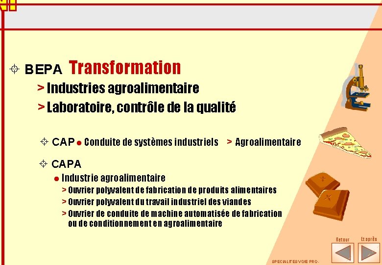± BEPA Transformation > Industries agroalimentaire > Laboratoire, contrôle de la qualité ± CAP