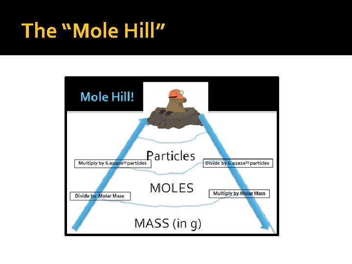 The “Mole Hill” 