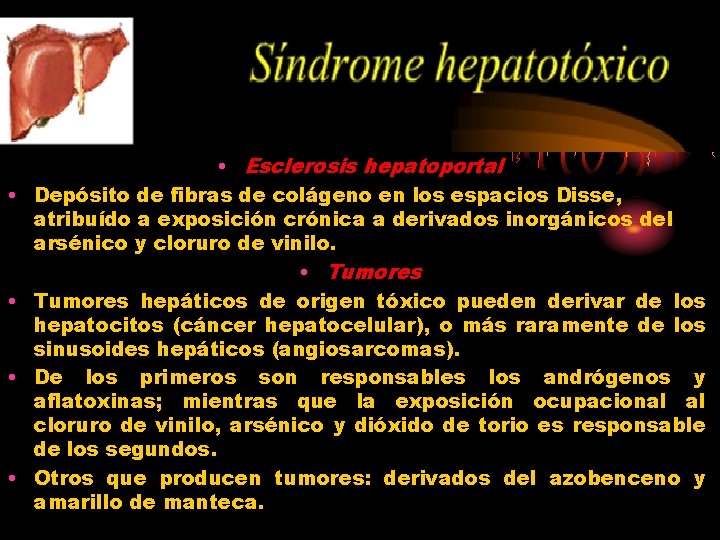  • • • Esclerosis hepatoportal Depósito de fibras de colágeno en los espacios
