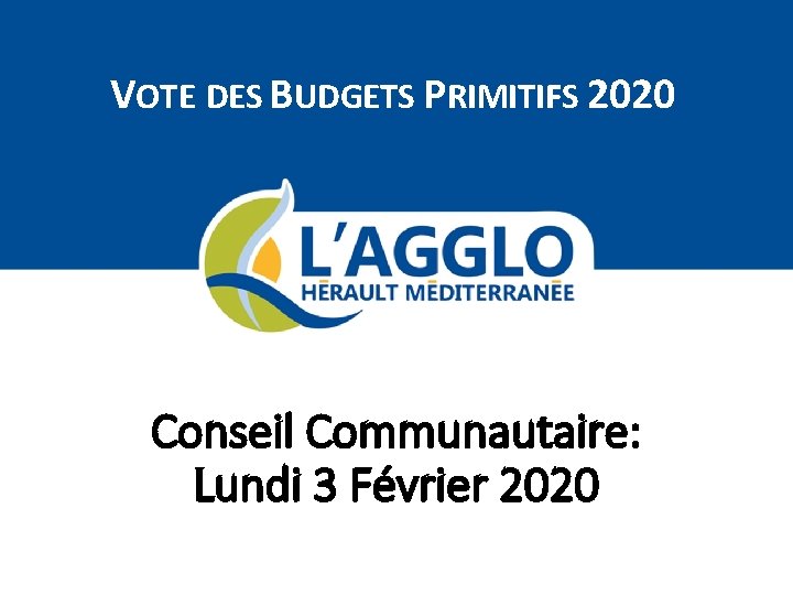 VOTE DES BUDGETS PRIMITIFS 2020 Conseil Communautaire: Lundi 3 Février 2020 