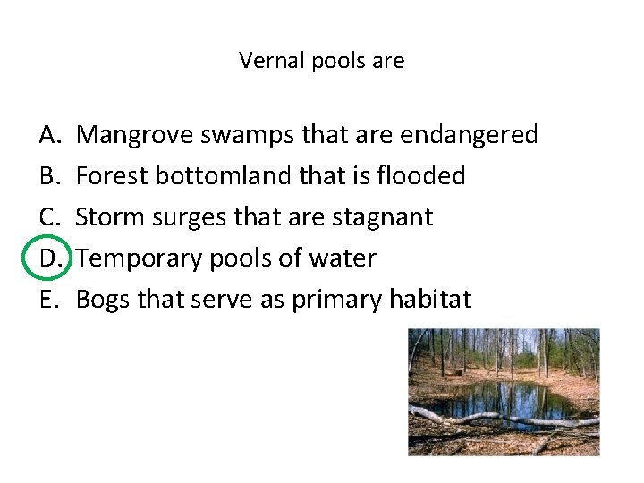 Vernal pools are A. B. C. D. E. Mangrove swamps that are endangered Forest