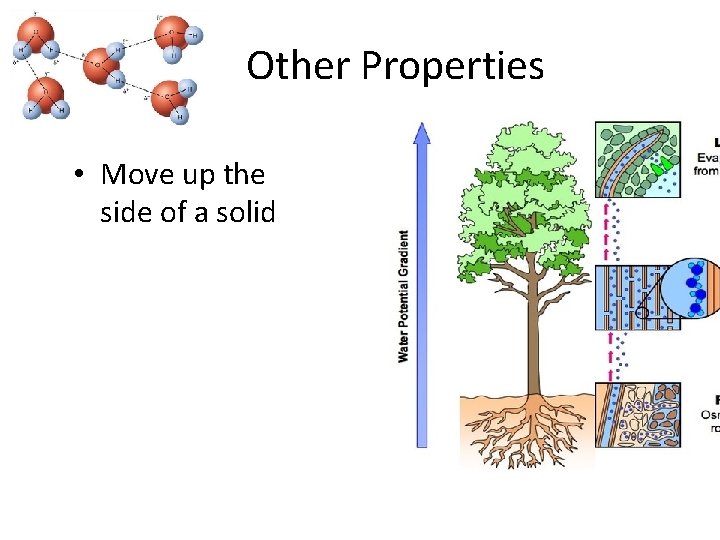 Other Properties • Move up the side of a solid 