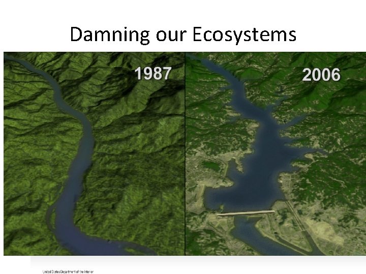 Damning our Ecosystems 