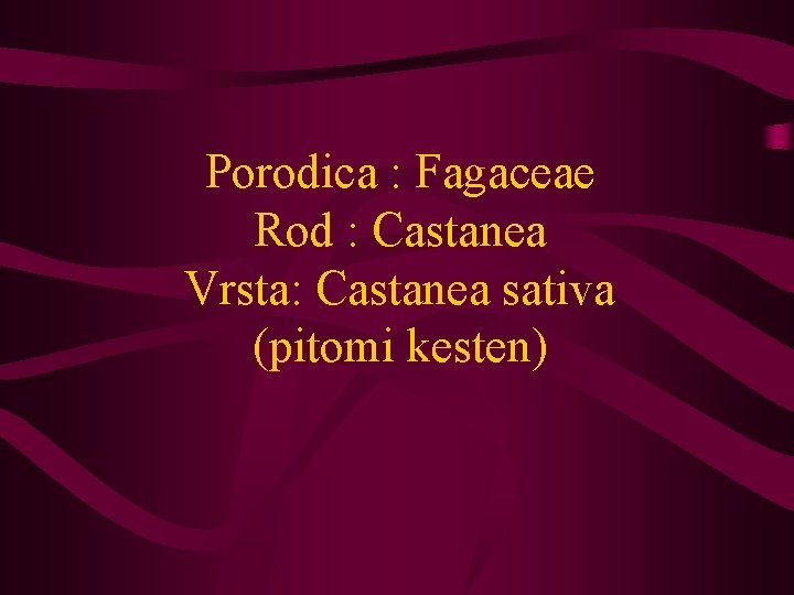 Porodica : Fagaceae Rod : Castanea Vrsta: Castanea sativa (pitomi kesten) 