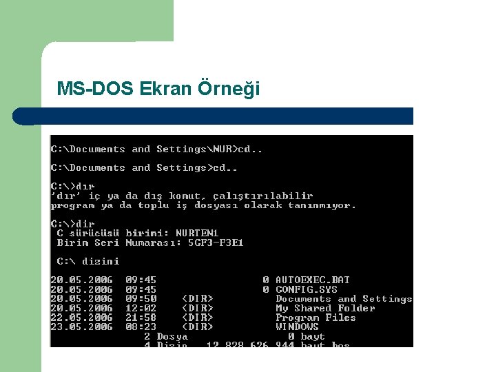 MS-DOS Ekran Örneği 