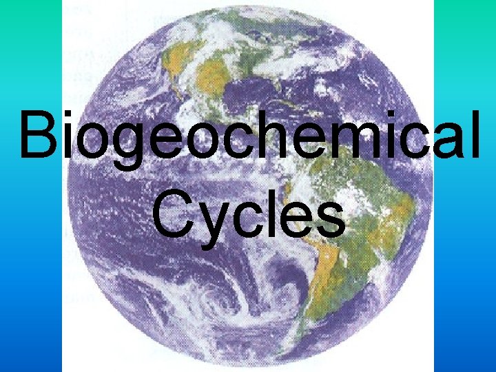 Biogeochemical Cycles 