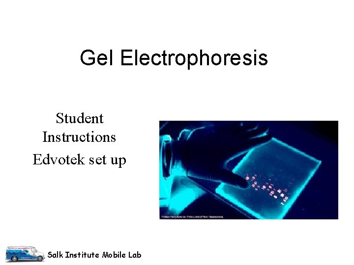 Gel Electrophoresis Student Instructions Edvotek set up Salk Institute Mobile Lab 