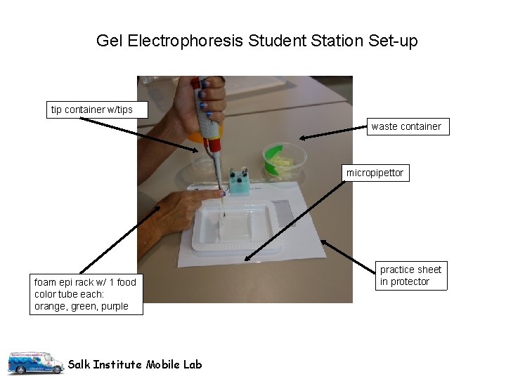 Gel Electrophoresis Student Station Set-up tip container w/tips waste container micropipettor foam epi rack