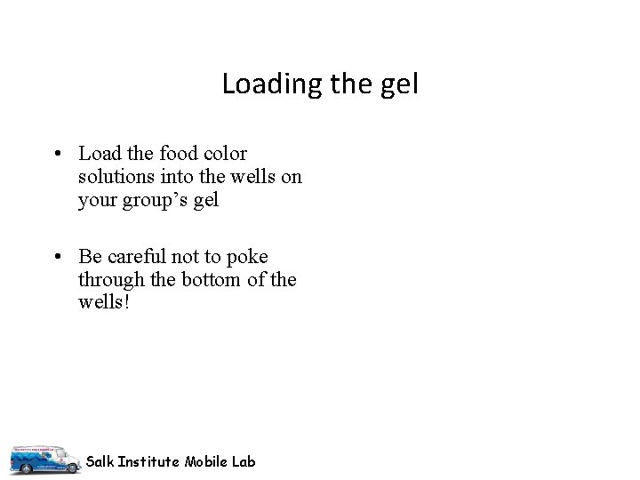 Loading the gel • Load the food color solutions into the wells on your