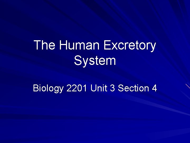 The Human Excretory System Biology 2201 Unit 3 Section 4 