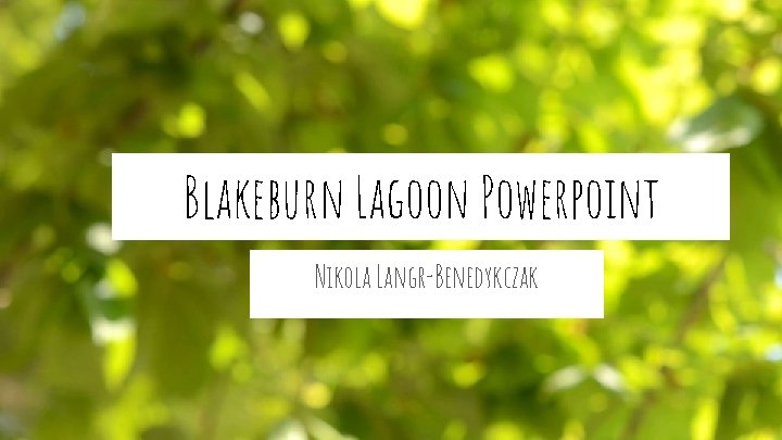 Blakeburn Lagoon Powerpoint Nikola Langr-Benedykczak 