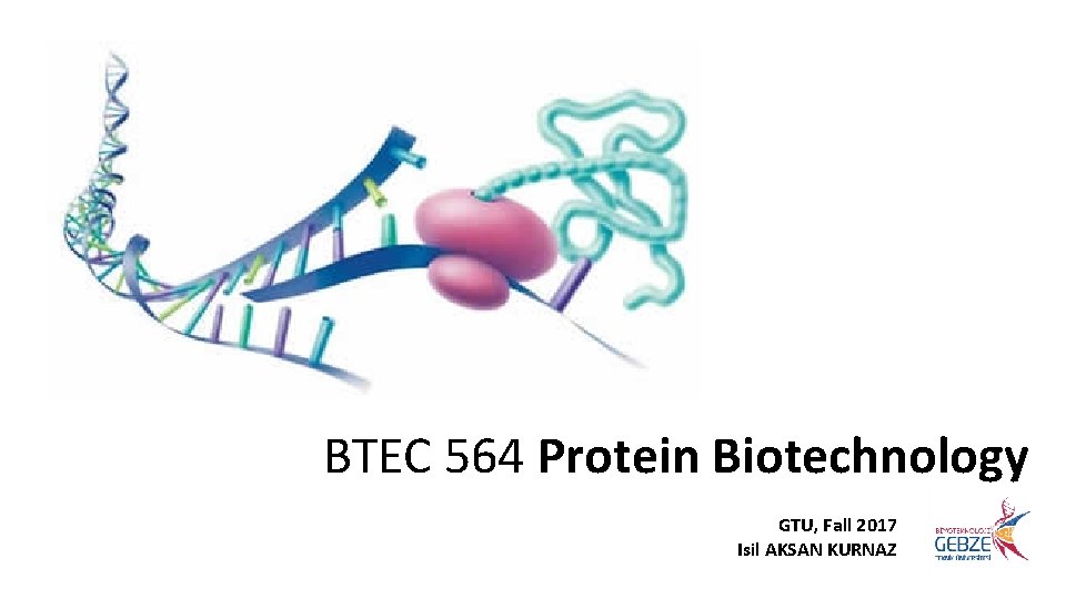 BTEC 564 Protein Biotechnology GTU, Fall 2017 Isil AKSAN KURNAZ 