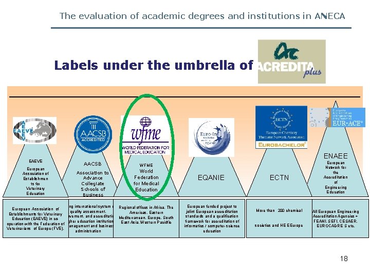 The evaluation of academic degrees and institutions in ANECA Labels under the umbrella of