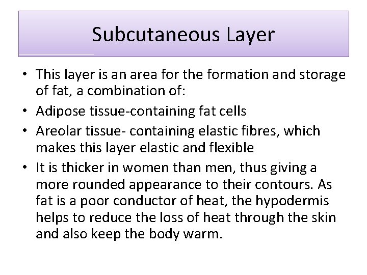 Subcutaneous Layer • This layer is an area for the formation and storage of