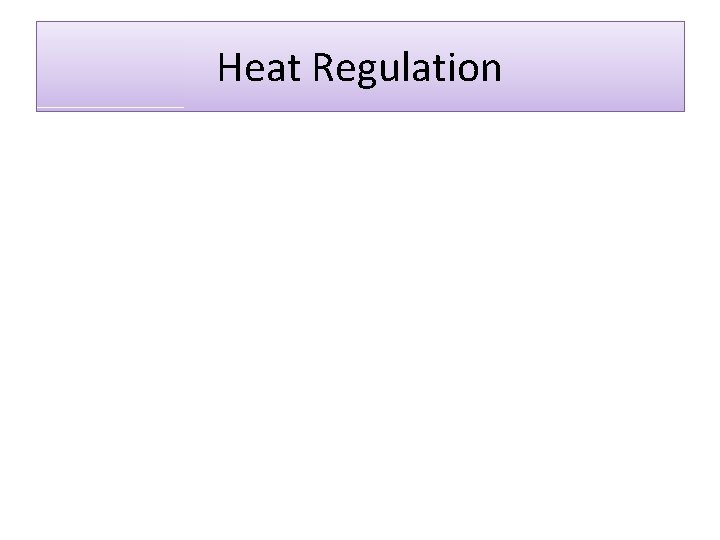 Heat Regulation 