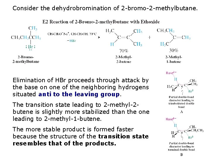 Consider the dehydrobromination of 2 -bromo-2 -methylbutane. Elimination of HBr proceeds through attack by