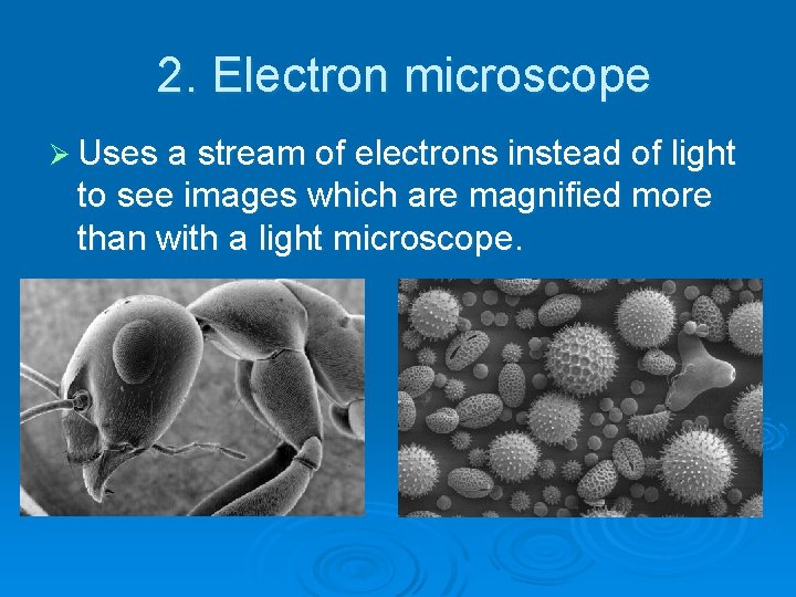 2. Electron microscope Ø Uses a stream of electrons instead of light to see