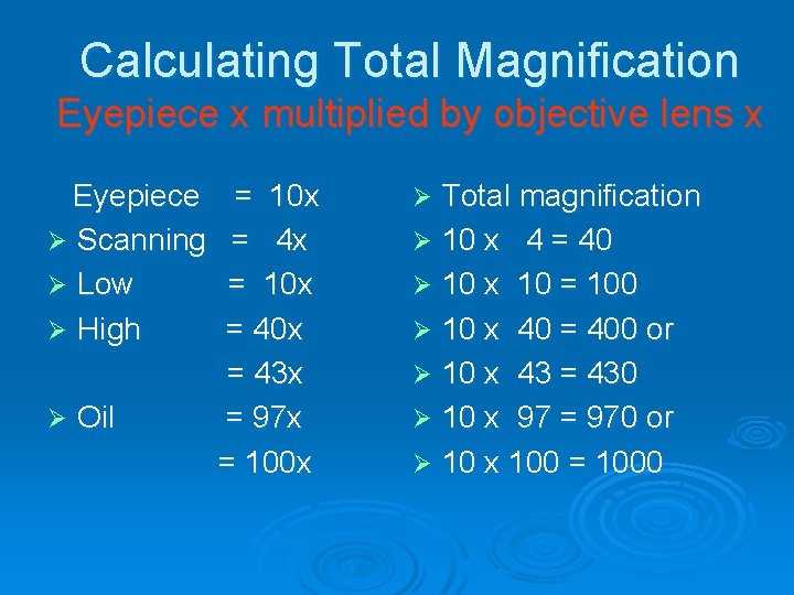Calculating Total Magnification Eyepiece x multiplied by objective lens x Eyepiece Ø Scanning Ø