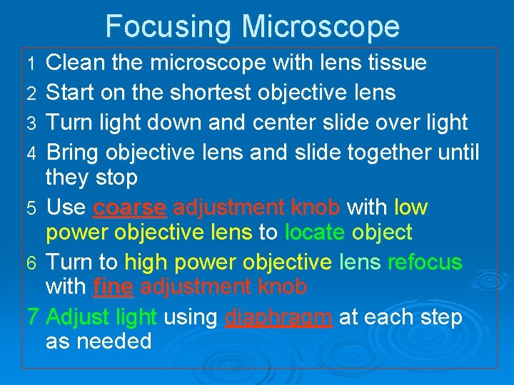 Focusing Microscope Clean the microscope with lens tissue 2 Start on the shortest objective