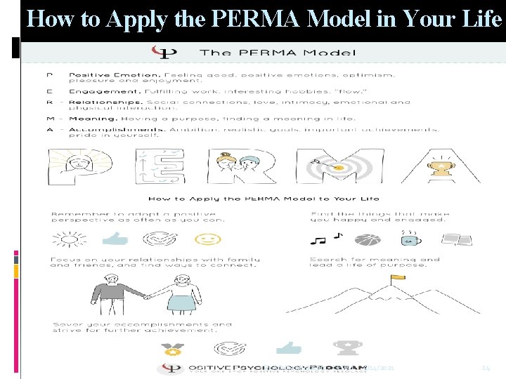 How to Apply the PERMA Model in Your Life Dr Amina Muazzam. . .
