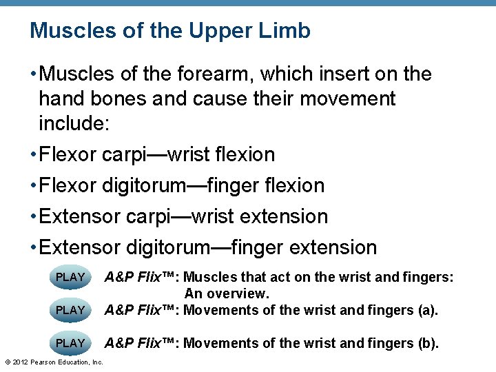 Muscles of the Upper Limb • Muscles of the forearm, which insert on the