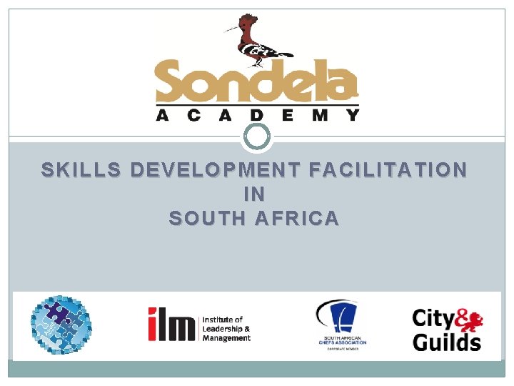 SKILLS DEVELOPMENT FACILITATION IN SOUTH AFRICA 