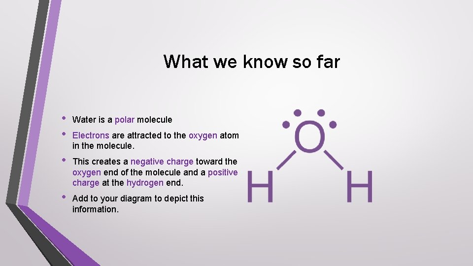 What we know so far • • Water is a polar molecule • This