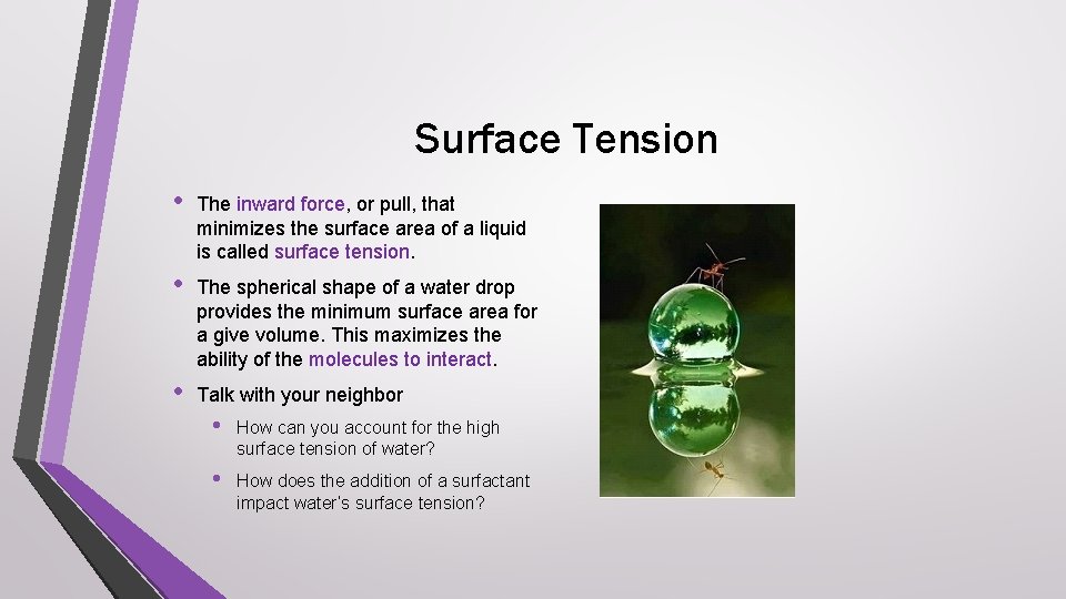 Surface Tension • The inward force, or pull, that minimizes the surface area of