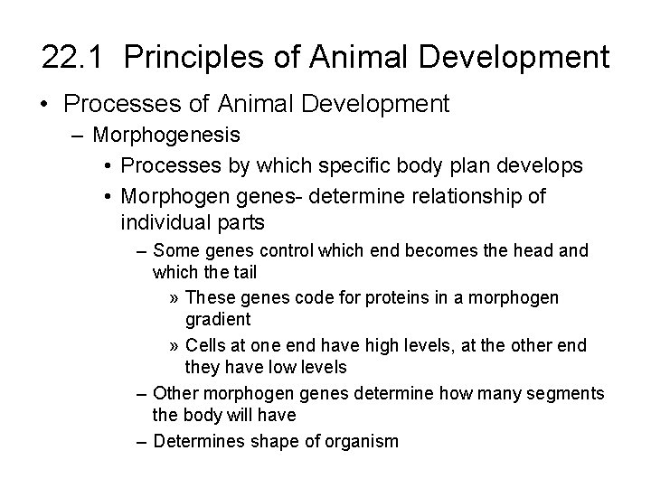 22. 1 Principles of Animal Development • Processes of Animal Development – Morphogenesis •