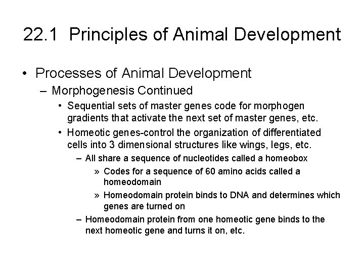 22. 1 Principles of Animal Development • Processes of Animal Development – Morphogenesis Continued